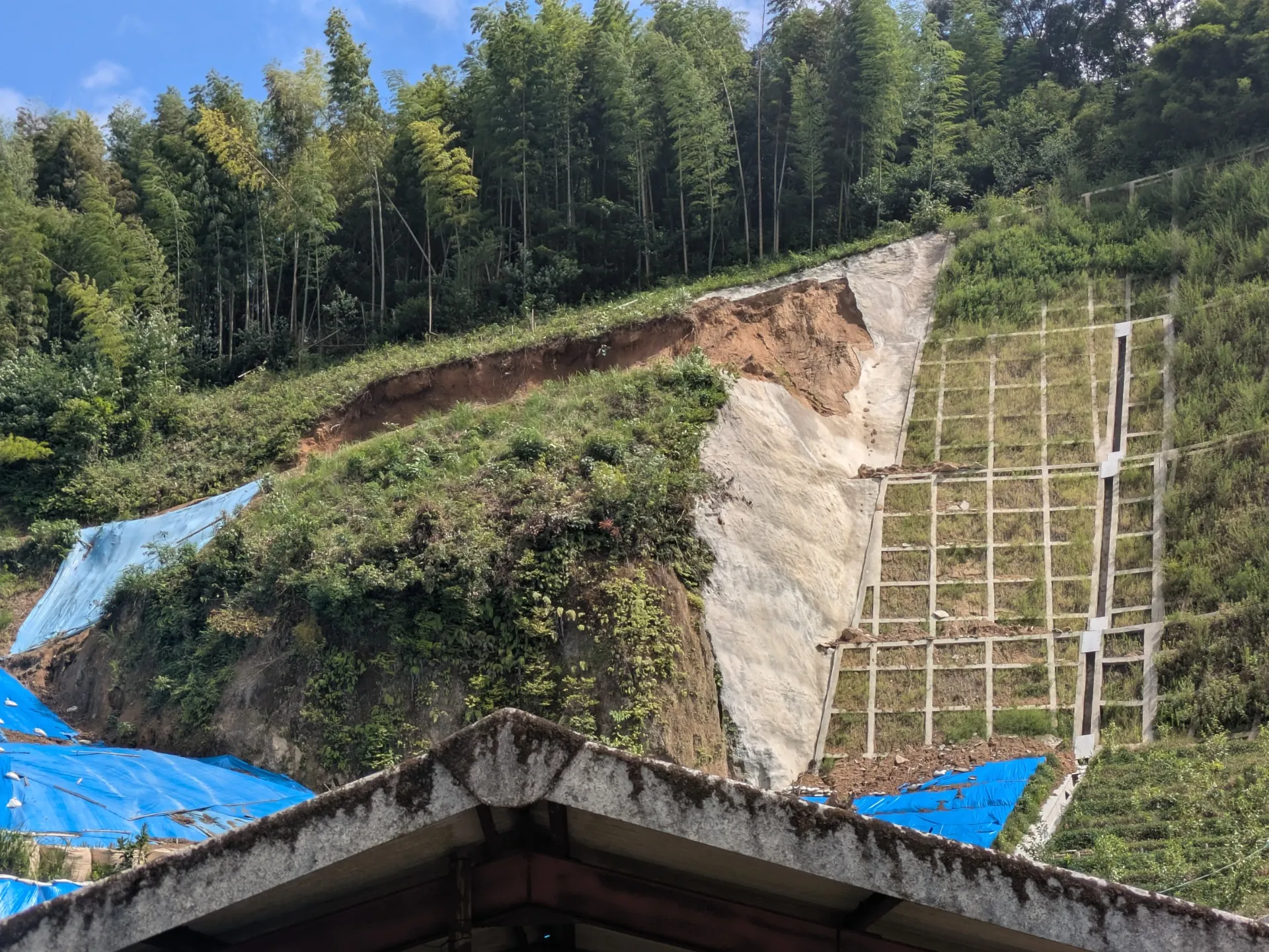 【施工事例】令和6年度(ゼロ国)復旧治山事業 餘ヶ城地区